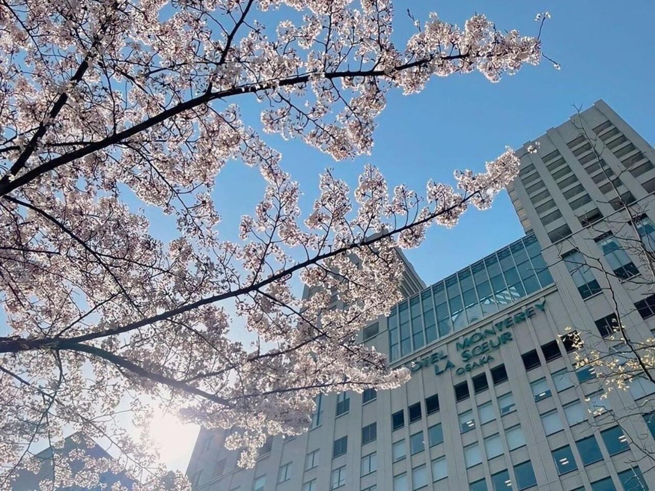 Hotel Monterey La Soeur Osaka Zewnętrze zdjęcie